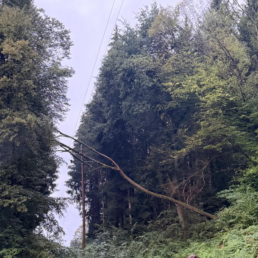 🚨 Einsatz Nr. 19 🚨
•
•
•
Sirenenalarm für FF Steindorf
T UNWETTER 2
Nur wenige Minuten nachdem ein Komple…