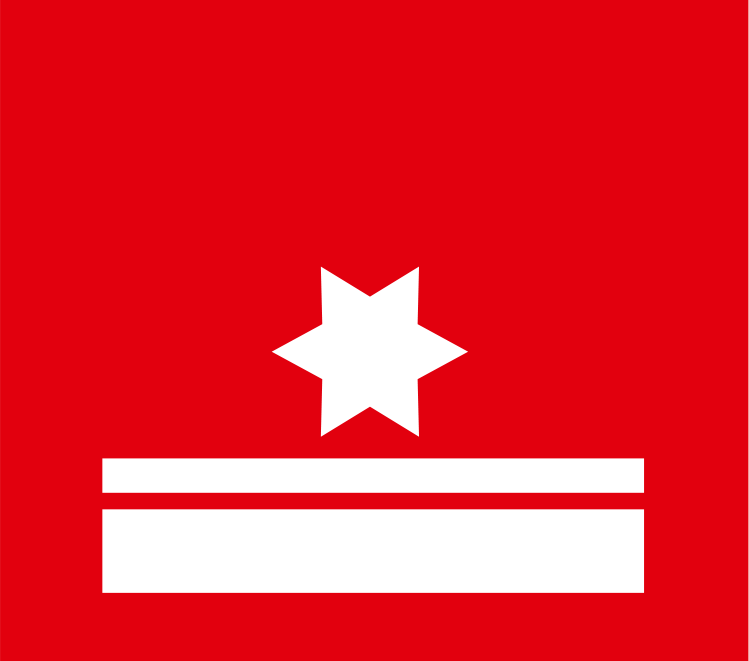Brandmeister